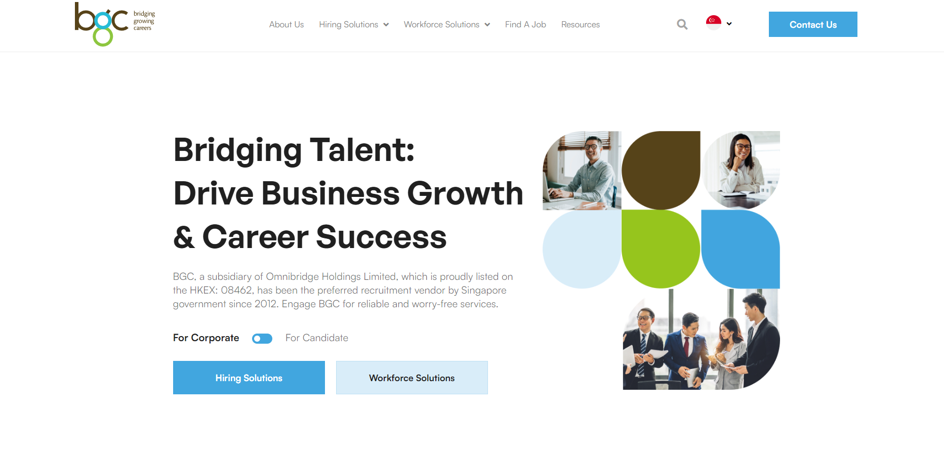 BGC Group Website