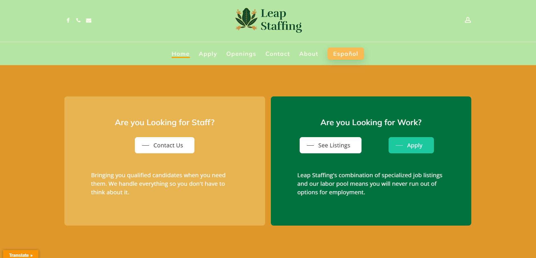 Leap Staffing Website