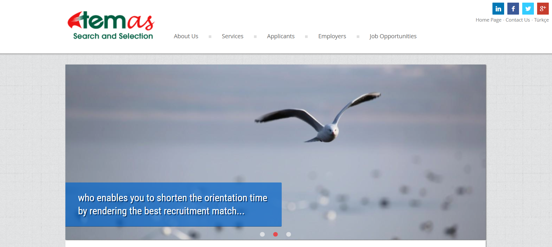 Temas Website