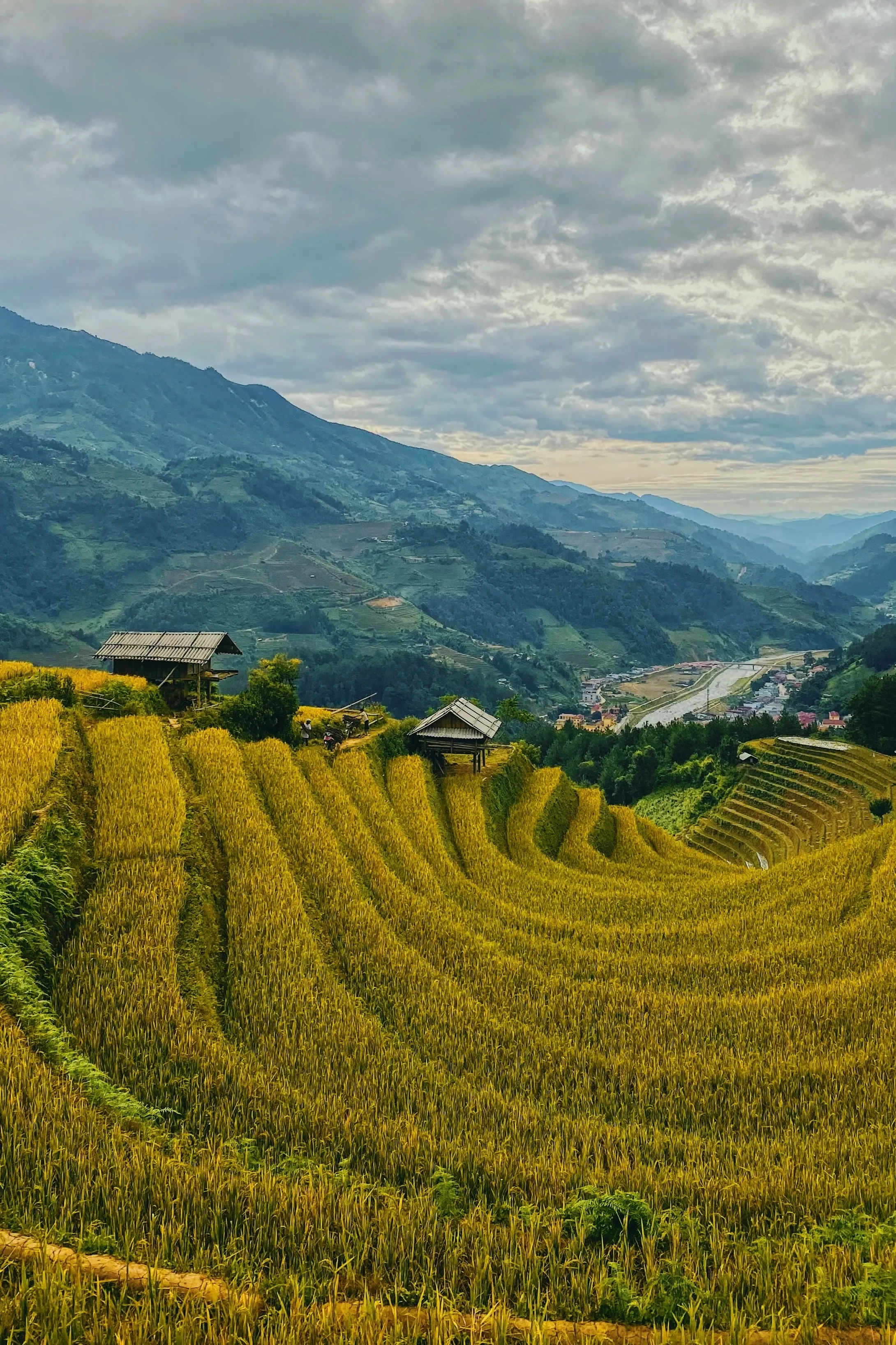 Tt. Mù Cang Chải, H. Mù Cang Chải, Vietnam