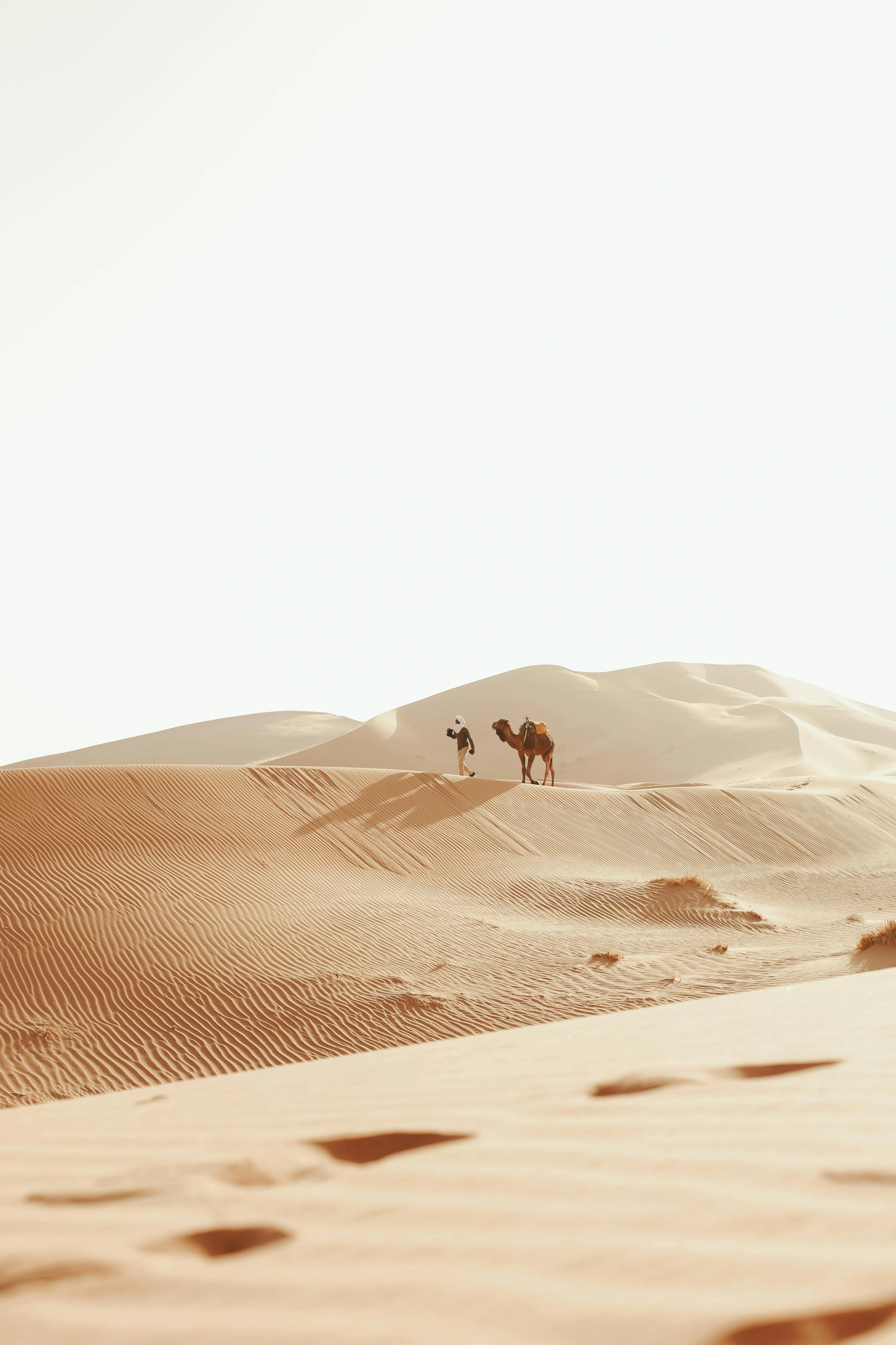 Walking through the Sahara sands